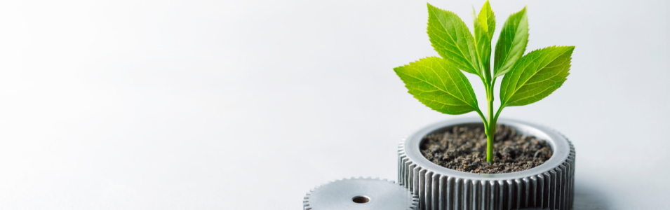 Copertina Corso Sito BOOM